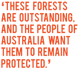 ‘these forests are outstanding, and the people of Australia want them to remain protected.’
